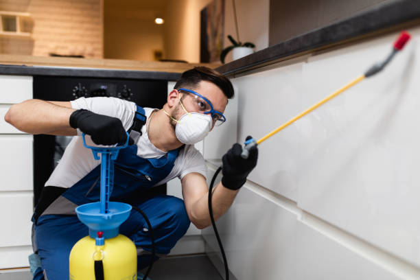 Best Flea Control Services  in Chula Vista, TX