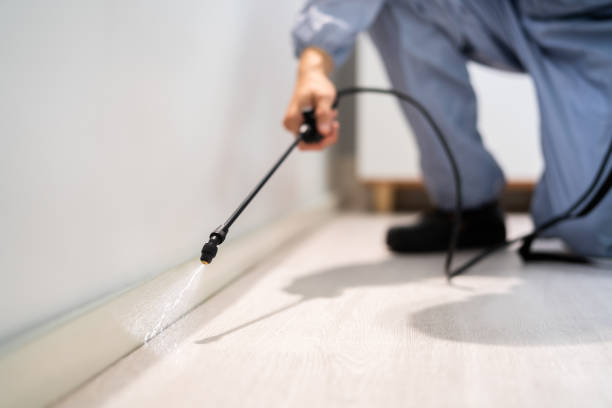 Reliable Chula Vista, TX Pest Control Solutions